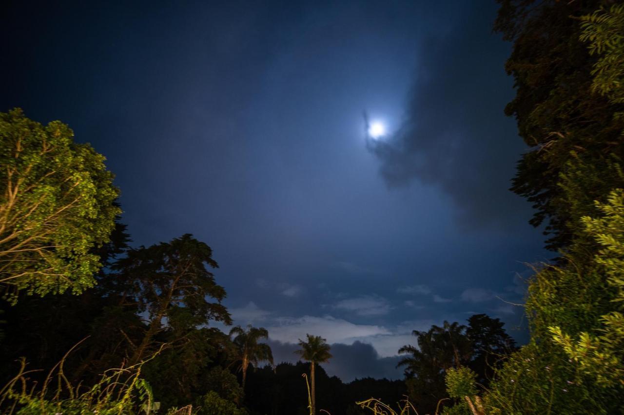 ホテル Vistas Del Conde エレディア エクステリア 写真